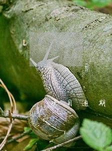 项目逾期产生费用