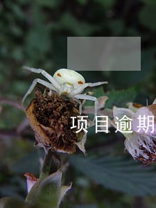 项目逾期付款利息怎么做账 项目逾期付款利息怎么做账