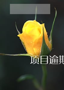 项目逾期公告是什么意思