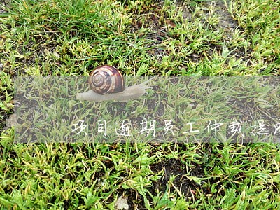 项目逾期员工仲裁提成 项目逾期员工仲裁提成