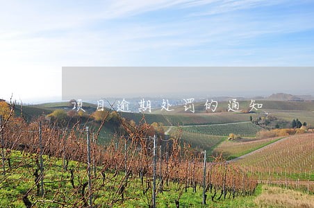 项目逾期处罚的通知 项目逾期处罚的通知
