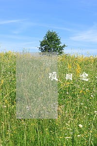 项目逾期工作总结模板