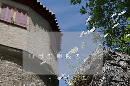 项目逾期报告