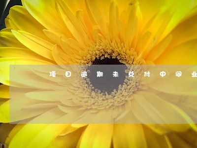 项目逾期未兑付中间业务解决措施