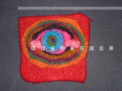 项目逾期未完成后果