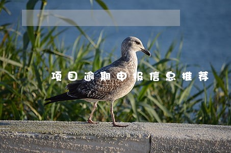 项目逾期申报信息推荐 项目逾期申报信息推荐
