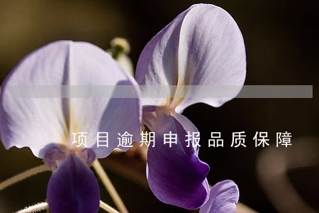 项目逾期申报品质保障 项目逾期申报品质保障