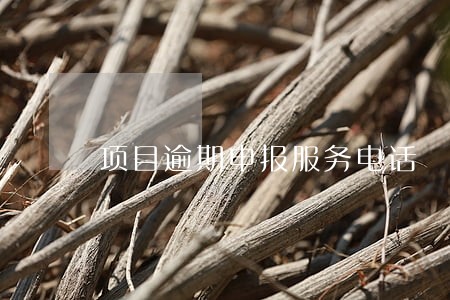 项目逾期申报服务电话 项目逾期申报服务电话