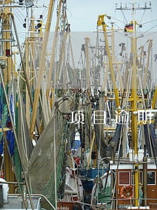 项目逾期申报诚信经营 项目逾期申报诚信经营