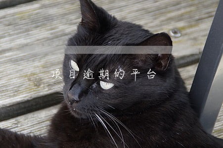项目逾期的平台 项目逾期的平台