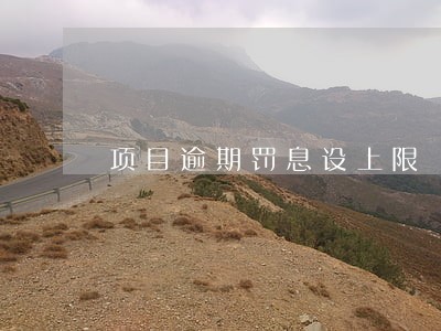 项目逾期罚息设上限