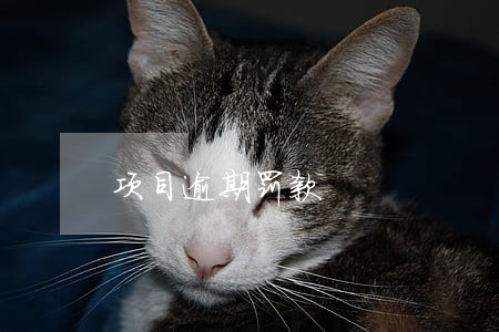 项目逾期罚款