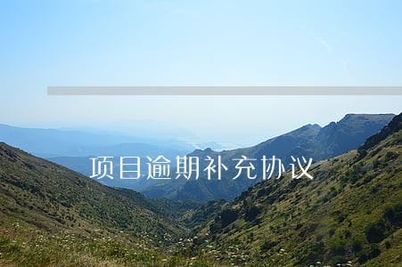 项目逾期补充协议 项目逾期补充协议
