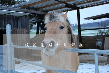 项目逾期费用标准 项目逾期费用标准