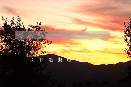 项目逾期赔偿