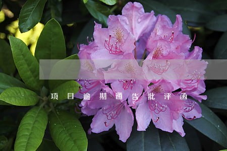 项目逾期通告批评函 项目逾期通告批评函