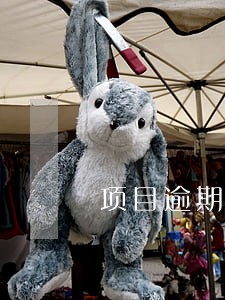 项目逾期通知