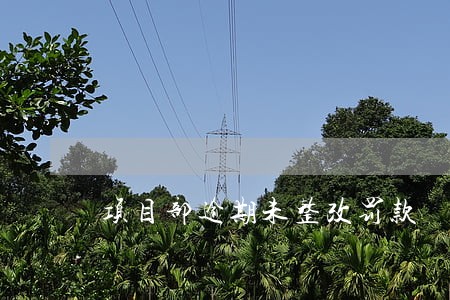 项目部逾期未整改罚款 项目部逾期未整改罚款