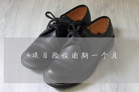 项目验收逾期一个月 项目验收逾期一个月