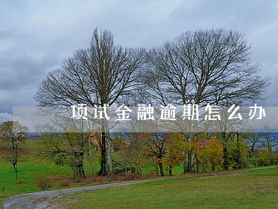 项试金融逾期怎么办 项试金融逾期怎么办