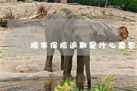 顺丰保险逾期是什么意思 顺丰保险逾期是什么意思