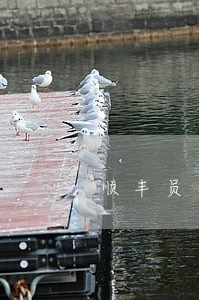 顺丰员工贷款逾期 顺丰员工贷款逾期