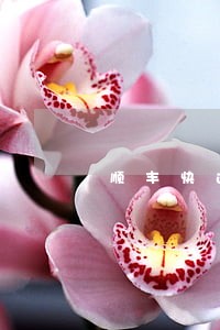 顺丰快递上门取件逾期 顺丰快递上门取件逾期