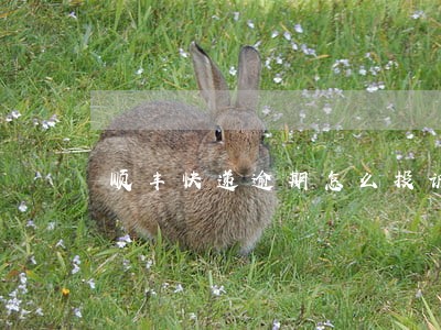 顺丰快递逾期怎么投诉 顺丰快递逾期怎么投诉