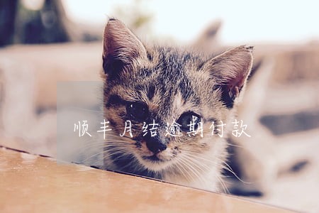 顺丰月结逾期付款 顺丰月结逾期付款