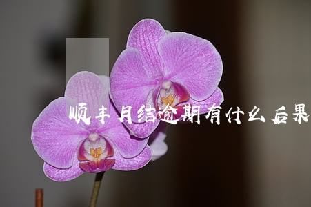 顺丰月结逾期有什么后果 顺丰月结逾期有什么后果