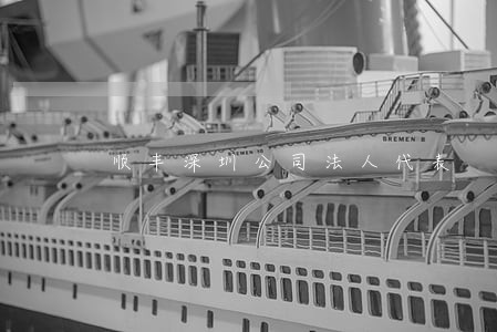 顺丰深圳公司法人代表 顺丰深圳公司法人代表
