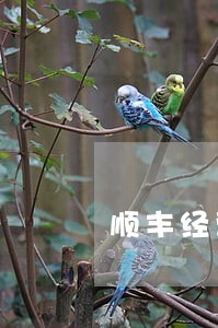 顺丰经营贷逾期可协商 顺丰经营贷逾期可协商