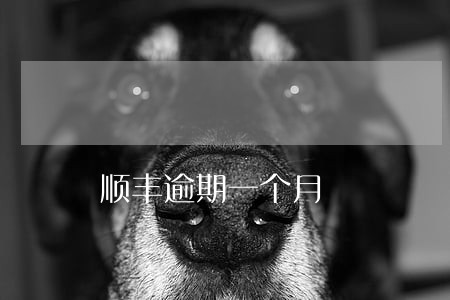 顺丰逾期一个月