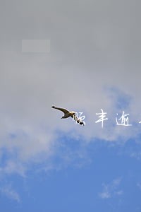 顺丰逾期费用怎么算的 顺丰逾期费用怎么算的