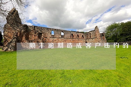 顺丰逾期造成客户违约的 顺丰逾期造成客户违约的