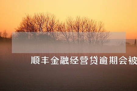 顺丰金融经营贷逾期会被告吗 顺丰金融经营贷逾期会被告吗