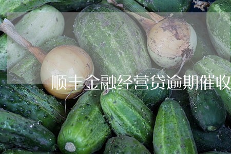 顺丰金融经营贷逾期催收 顺丰金融经营贷逾期催收