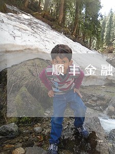 顺丰金融经营贷逾期减免利息 顺丰金融经营贷逾期减免利息