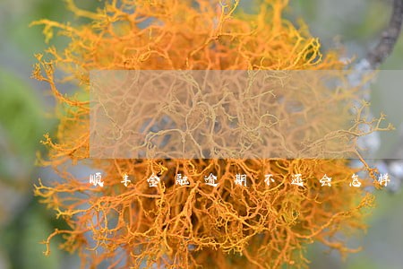顺丰金融逾期不还会怎样 顺丰金融逾期不还会怎样