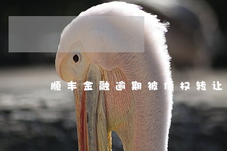 顺丰金融逾期被债权转让怎么办 顺丰金融逾期被债权转让怎么办
