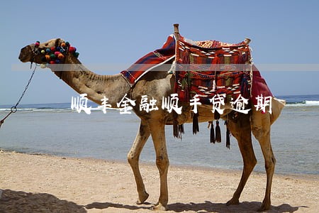顺丰金融顺手贷逾期 顺丰金融顺手贷逾期