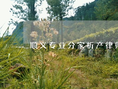 顺义专业分家析产律师 顺义专业分家析产律师