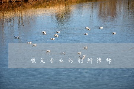 顺义专业的刑辩律师 顺义专业的刑辩律师