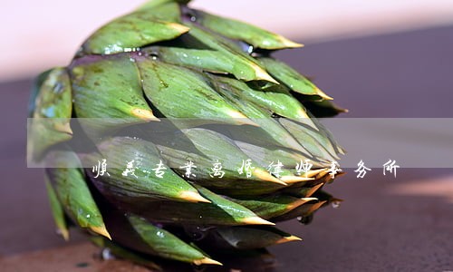 顺义专业离婚律师事务所 顺义专业离婚律师事务所