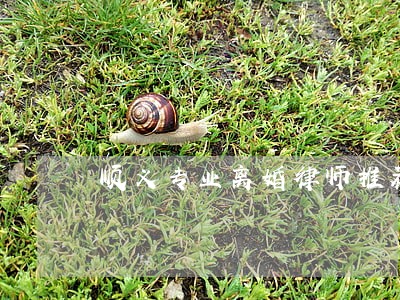 顺义专业离婚律师推荐 顺义专业离婚律师推荐