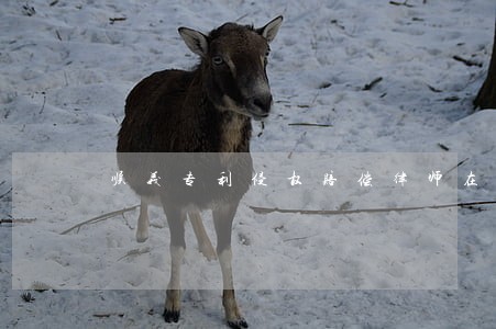 顺义专利侵权赔偿律师在线咨询 顺义专利侵权赔偿律师在线咨询