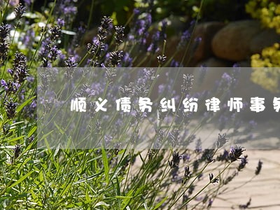 顺义债务纠纷律师事务所 顺义债务纠纷律师事务所