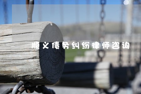 顺义债务纠纷律师咨询 顺义债务纠纷律师咨询