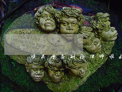 顺义债务纠纷律师谁好 顺义债务纠纷律师谁好
