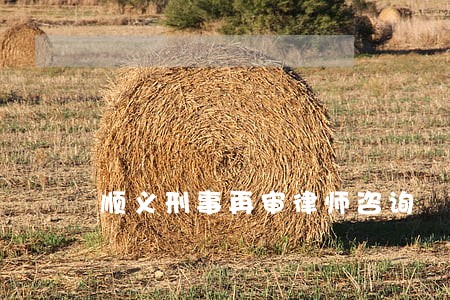 顺义刑事再审律师咨询 顺义刑事再审律师咨询